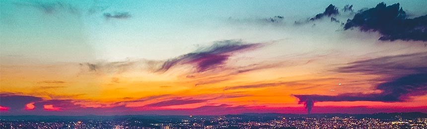 平顶山茶虫网_平顶山品茶